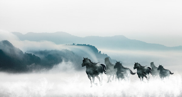 企業(yè)戰(zhàn)略規(guī)劃：為企業(yè)制定全面、長遠的發(fā)展戰(zhàn)略