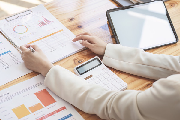 年度風(fēng)險(xiǎn)防控計(jì)劃：風(fēng)險(xiǎn)防范，穩(wěn)健前行