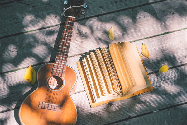 促銷策略：激發(fā)消費(fèi)者購買欲望，促進(jìn)銷售增長