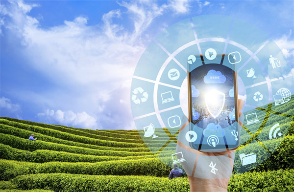 在精益轉(zhuǎn)型中，如何平衡標(biāo)準(zhǔn)化作業(yè)與靈活性需求？