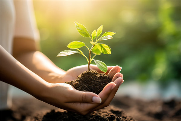 可持續(xù)發(fā)展成為趨勢(shì)，企業(yè)如何融入綠色戰(zhàn)略以促增長(zhǎng)？