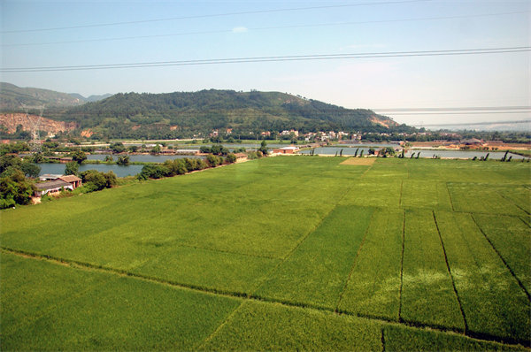 清遠(yuǎn)績(jī)效咨詢(xún)公司如何定制高效績(jī)效管理體系？