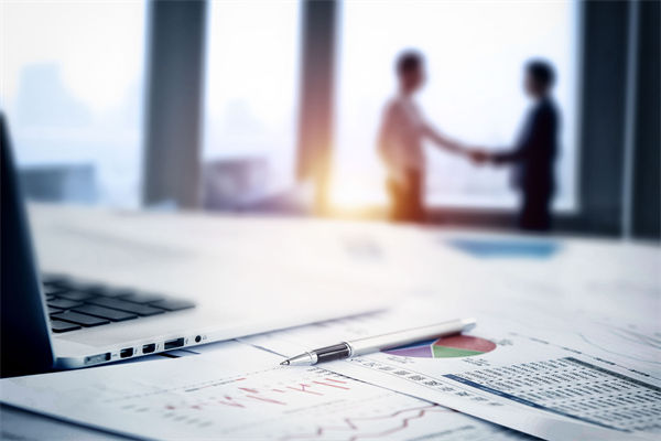 在預(yù)算執(zhí)行中，如何確保監(jiān)控與調(diào)整機(jī)制的有效性？