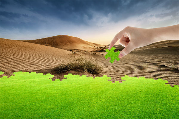 企業(yè)深陷困境，管理咨詢?nèi)绾我岳做侄未蚱瓢l(fā)展僵局？