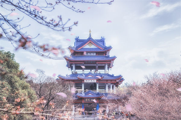 供應(yīng)鏈成本居高不下，無錫供應(yīng)鏈咨詢公司如何精準(zhǔn)砍出利潤空間？