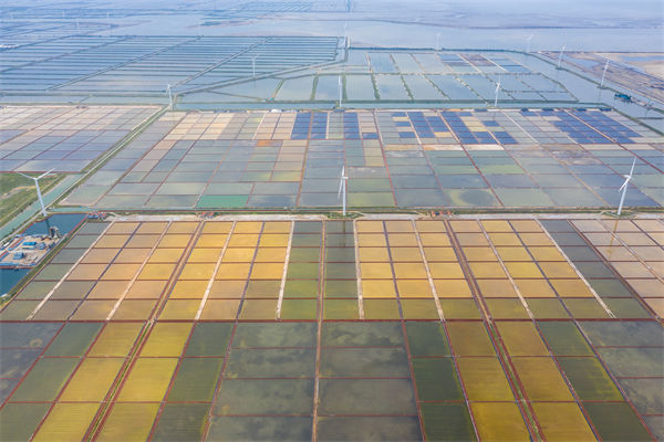 濰坊制造業(yè)招工難留人更難，濰坊人力資源咨詢公司如何破局用工困局？