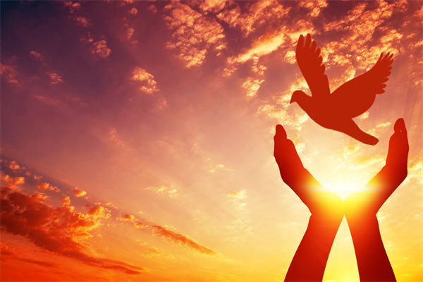 別讓盲卡盲盒“收割”孩子，關聯(lián)企業(yè)戰(zhàn)略怎么看？