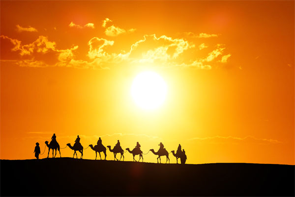 高層標(biāo)榜的企業(yè)文化，如何穿透形式真正落地生根？