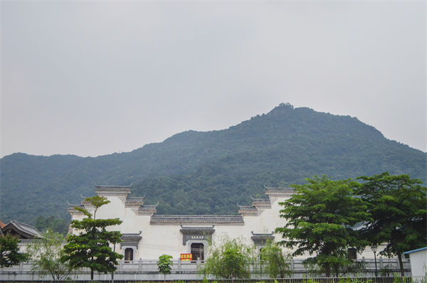 子公司各自為戰(zhàn)內(nèi)耗大，佛山集團(tuán)管控咨詢公司有何整合之道？