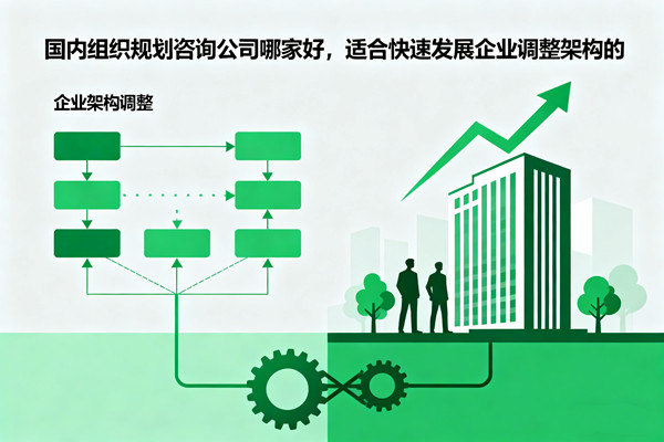 國內(nèi)組織規(guī)劃咨詢公司哪家好，適合快速發(fā)展企業(yè)調(diào)整架構的