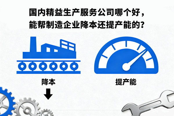 國(guó)內(nèi)精益生產(chǎn)服務(wù)公司哪個(gè)好，能幫制造企業(yè)降本還提產(chǎn)能的？